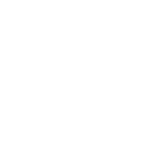 icon connect tiktok